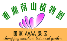 南岸天氣預報15天查詢
