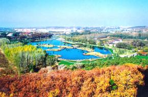 南關天氣預報15天查詢