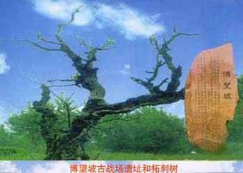 方城天氣預報15天查詢