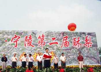 寧陵天氣預(yù)報15天查詢