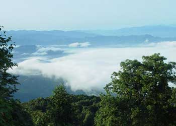 屏山天氣預(yù)報(bào)15天查詢