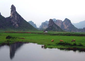 清遠(yuǎn)天氣預(yù)報(bào)15天查詢