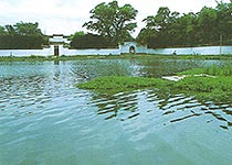 青云譜天氣預(yù)報(bào)15天查詢(xún)