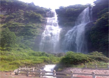 泰順天氣預(yù)報15天查詢