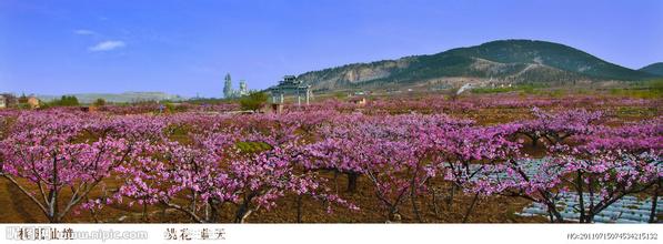 桃園市天氣預報15天查詢