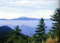 天橋天氣預(yù)報(bào)15天查詢