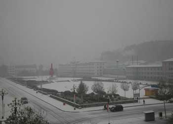 新林天氣預(yù)報15天查詢