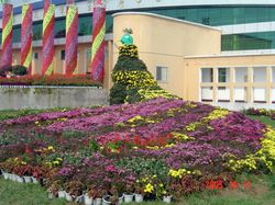 許昌縣天氣預(yù)報15天查詢