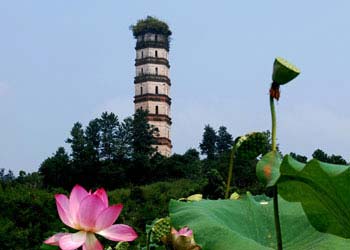 宜黃天氣預報15天查詢