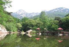 張店天氣預報15天查詢