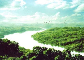 廉江天氣預報15天查詢
