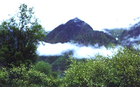 酒泉關(guān)山森林公園天氣