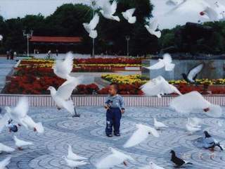 石河子游憩廣場(chǎng)天氣