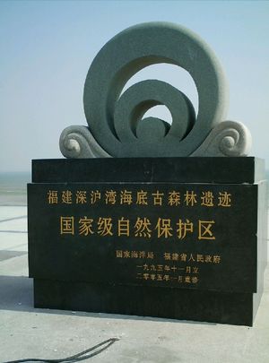 晉江深滬灣海底古森林自然保護(hù)區(qū)天氣