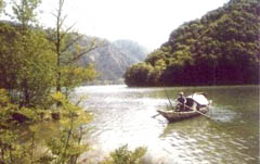 三明蘿卜巖楠木自然保護(hù)區(qū)天氣