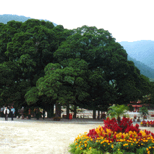 福州國(guó)家森林公園天氣