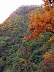 吉林拉法山天氣