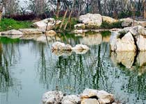 寶山吳淞口炮臺(tái)灣濕地森林公園天氣