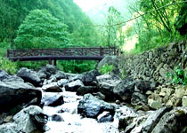 遂昌飛石嶺景區天氣