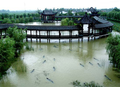 湖州中國揚子鱷村天氣