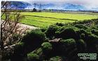 舟山小沙旅游區(qū)天氣