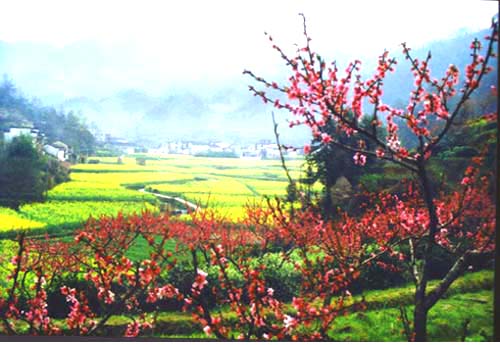 黃山休寧農(nóng)業(yè)高科技園天氣