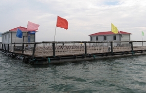 長(zhǎng)島順祥海上釣魚臺(tái)天氣