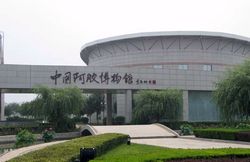 聊城中國(guó)阿膠博物館天氣
