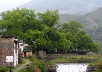 上饒虹關(guān)天氣