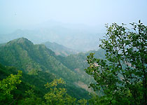 河北八仙山自然保護區(qū)天氣