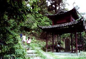 景德鎮高嶺山天氣