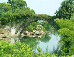 陽朔遇龍橋天氣