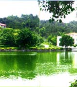 黃埔丹水坑旅游區天氣