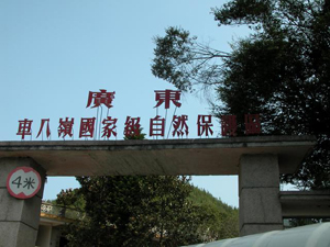 韶關(guān)車八嶺自然保護(hù)區(qū)天氣