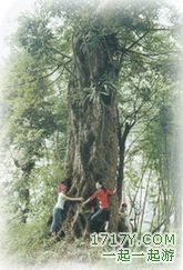 汕尾祠堂山山野公園天氣