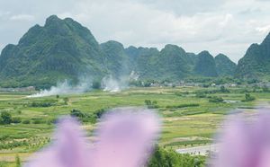 陽江合水鎮(zhèn)平北村天氣