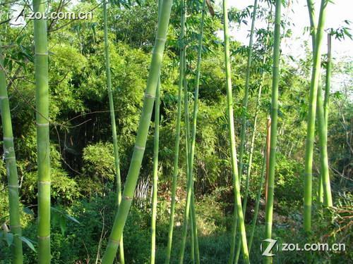 南寧鄉(xiāng)村大世界天氣