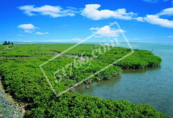 防城港北侖河口國家級自然保護(hù)區(qū)天氣