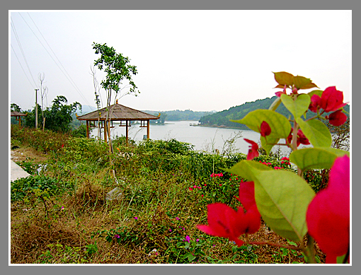 欽州鄧陽湖旅游區(qū)天氣