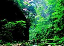 棗陽青龍山熊河風(fēng)景區(qū)天氣