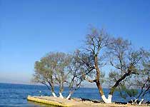 江川明星景區(qū)天氣