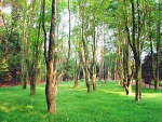 湘潭東臺(tái)山國(guó)家森林公園天氣