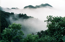 邵陽云山天氣