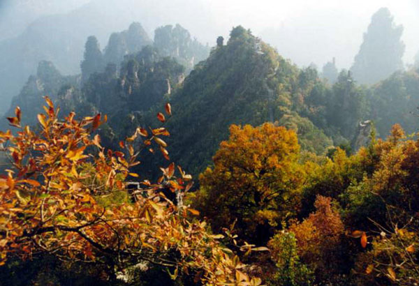 張家界天臺(tái)景區(qū)天氣