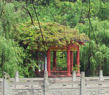 綿陽(yáng)老龍山天氣