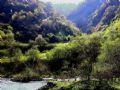 綿陽(yáng)王朗自然保護(hù)區(qū)天氣