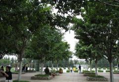 昆明寶海公園天氣 昆明寶海公園天氣