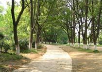 樅陽菱湖風景區(qū)天氣