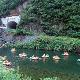 三明溪河水上旅游區(qū)天氣