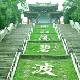 平?jīng)隽珗@天氣